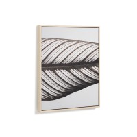 Фотография листа Foliae размер 52,5 x 62,5 см