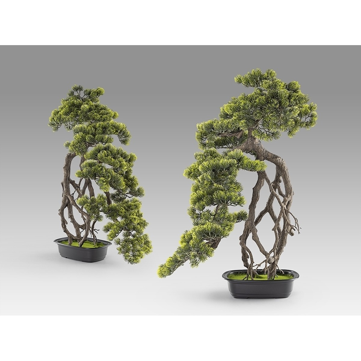 Kengai bonsai 74см Искусственное растение из 2 предметов