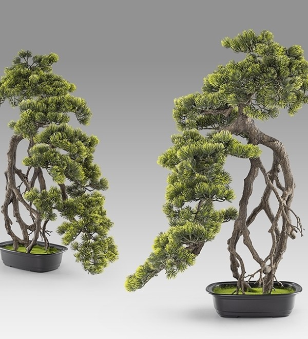 Kengai bonsai 74см Искусственное растение из 2 предметов