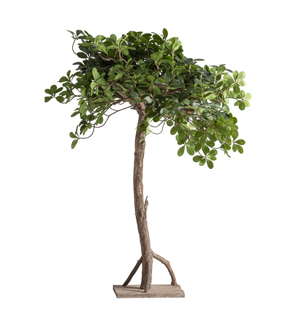 Искусственное растение FICUS 38081