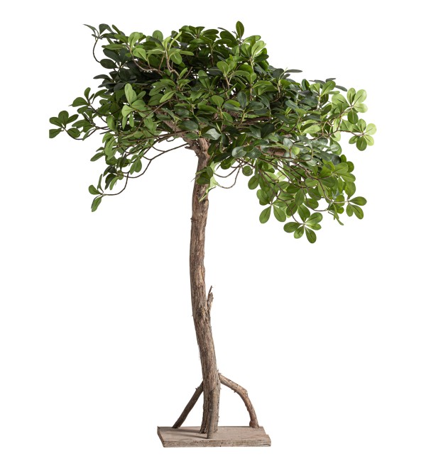 Искусственное растение FICUS 38081