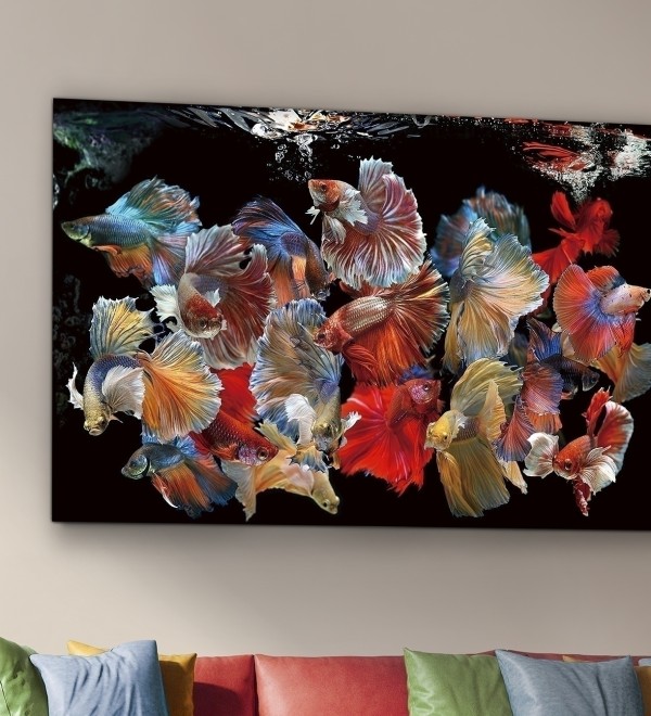 Фотография на стекле Peces Siam 150x100
