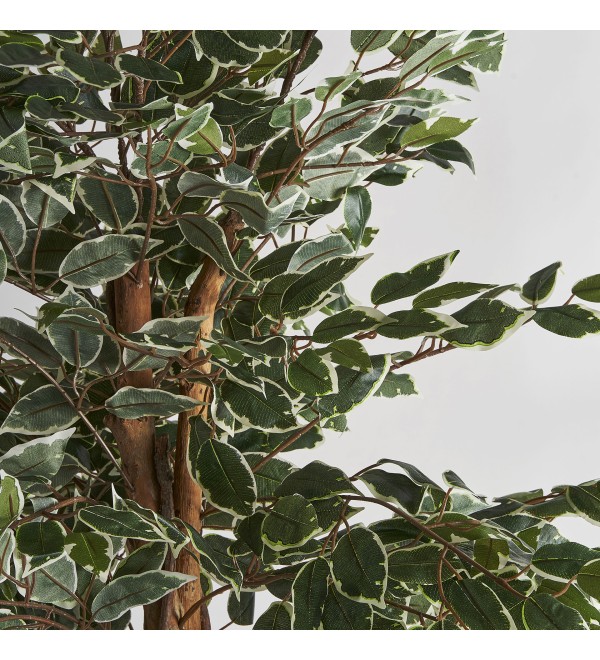 Искусственное растение FICUS