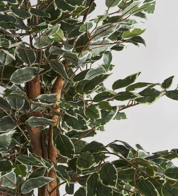 Искусственное растение FICUS