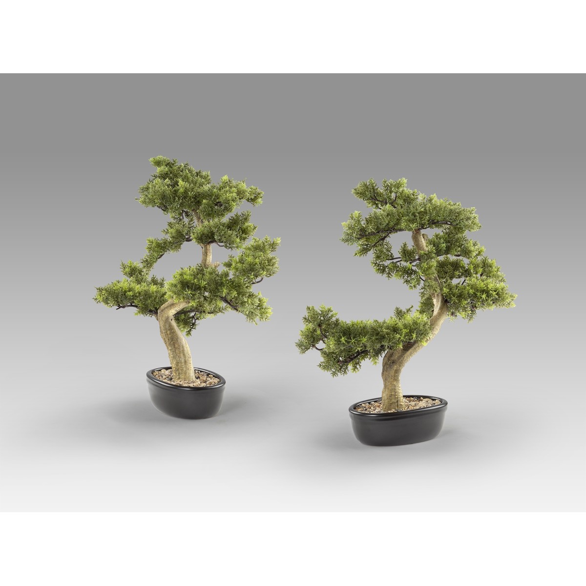 Bankan - bonsai 75cm Искусственное растение из 2 предметов