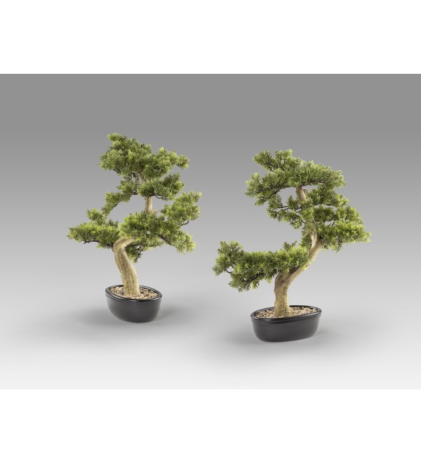 Bankan - bonsai 75cm Искусственное растение из 2 предметов