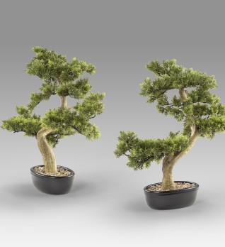 Bankan - bonsai 75cm Искусственное растение из 2 предметов