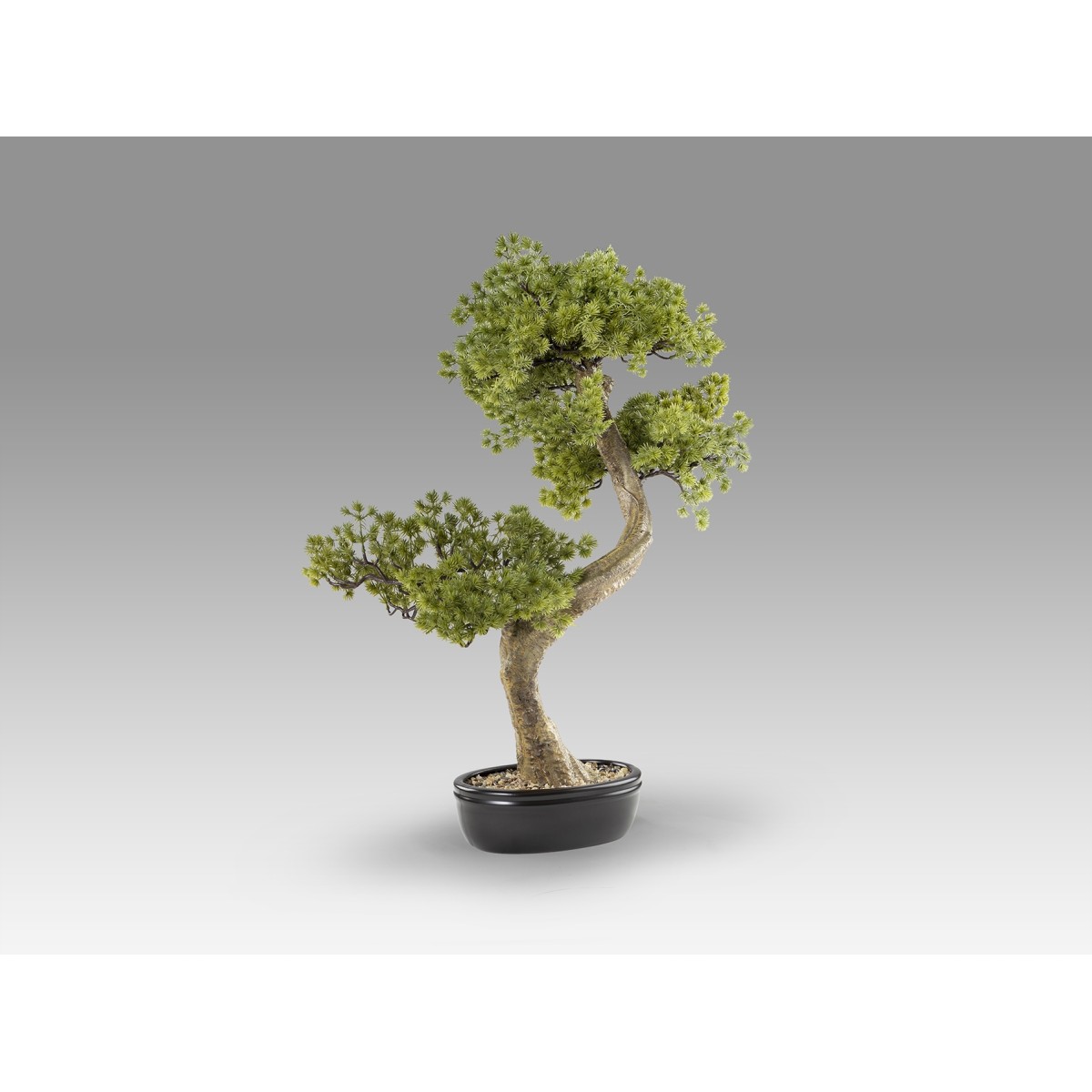 Bankan II bonsai 49cm набор из двух предметов