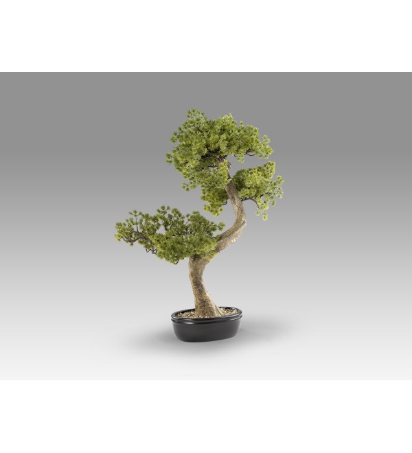 Bankan II bonsai 49cm набор из двух предметов