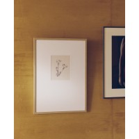 Картина Lirena с ботанической иллюстрацией 50 x 70 см