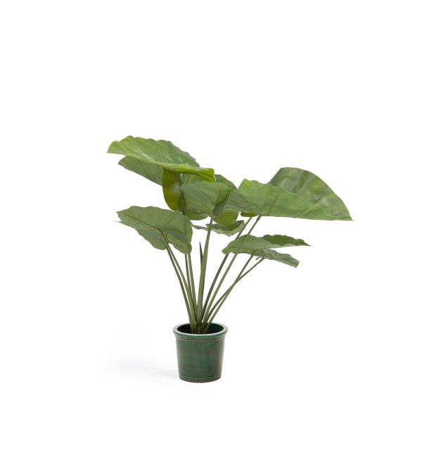Искусственное растение Alocasia пахучая с черным горшком 57 см