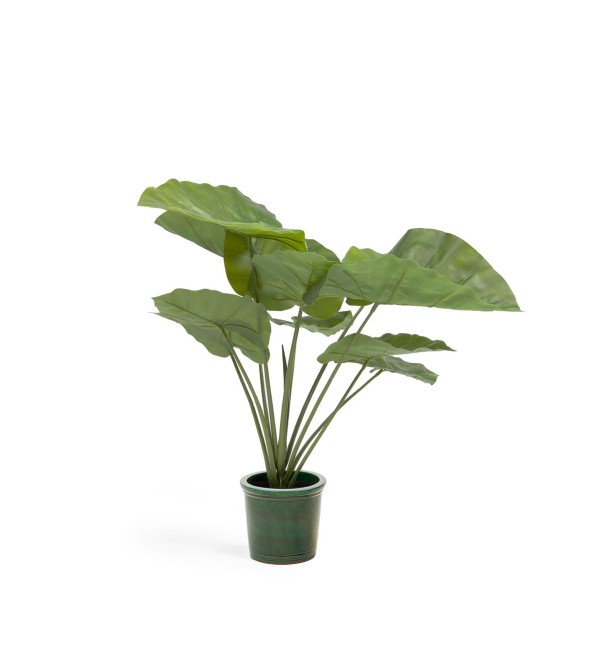 Искусственное растение Alocasia пахучая с черным горшком 57 см