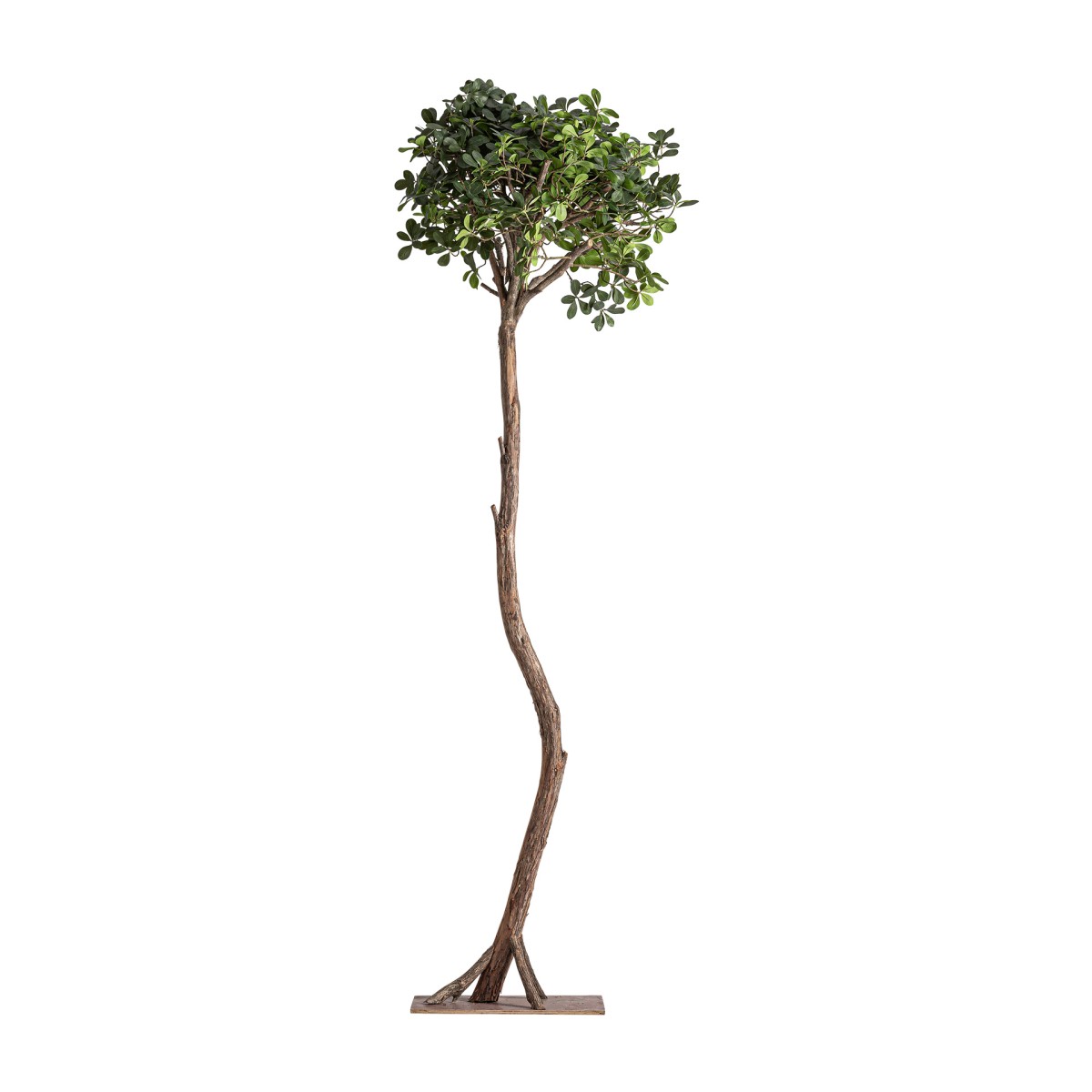Искусственное растение FICUS 38083