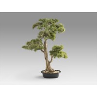 Chokkan - bonsai 83cm Искусственное растение