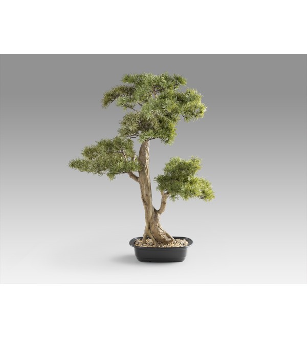 Chokkan - bonsai 83cm Искусственное растение