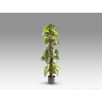 Taro Искусственное растение H150
