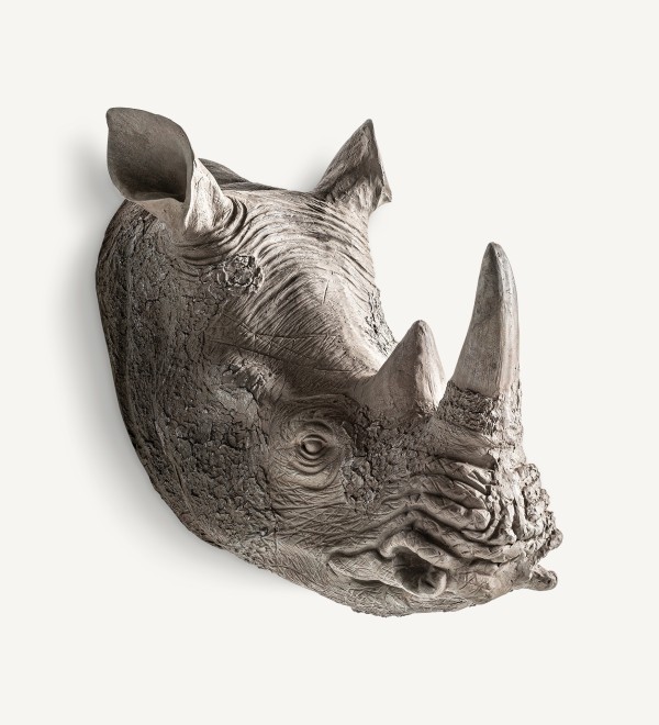 Бюст Rhinoceros