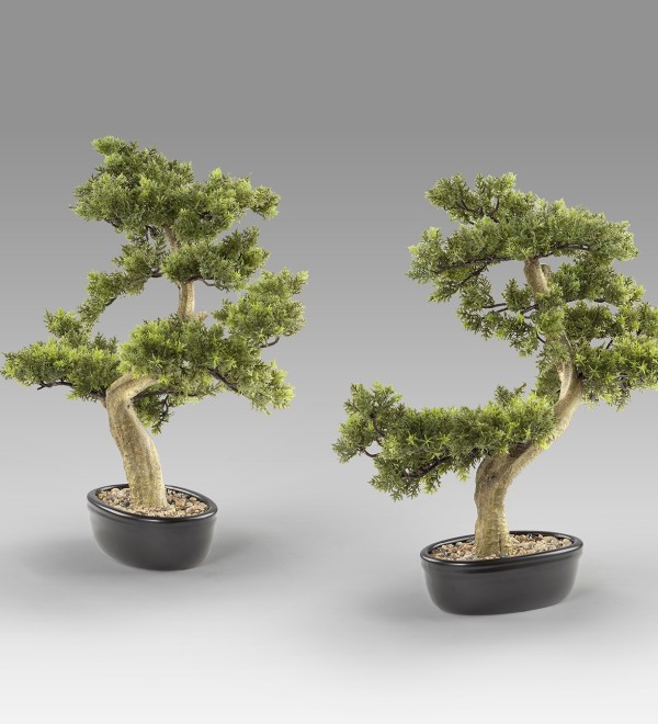 Bankan - bonsai 75cm Искусственное растение из 2 предметов