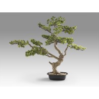 Sokan - bonsai 81cm Искусственное растение