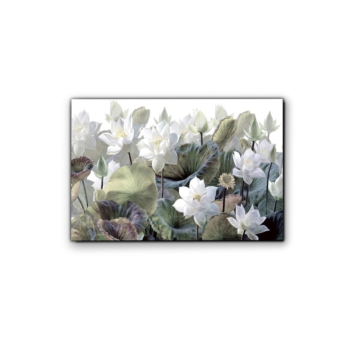 Фотография Nenufares 150x100 см