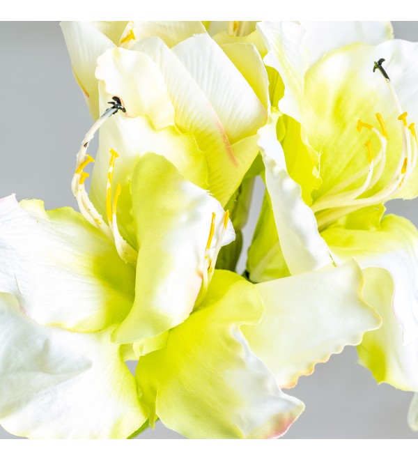 Цветок AMARYLLIS цвет белый
