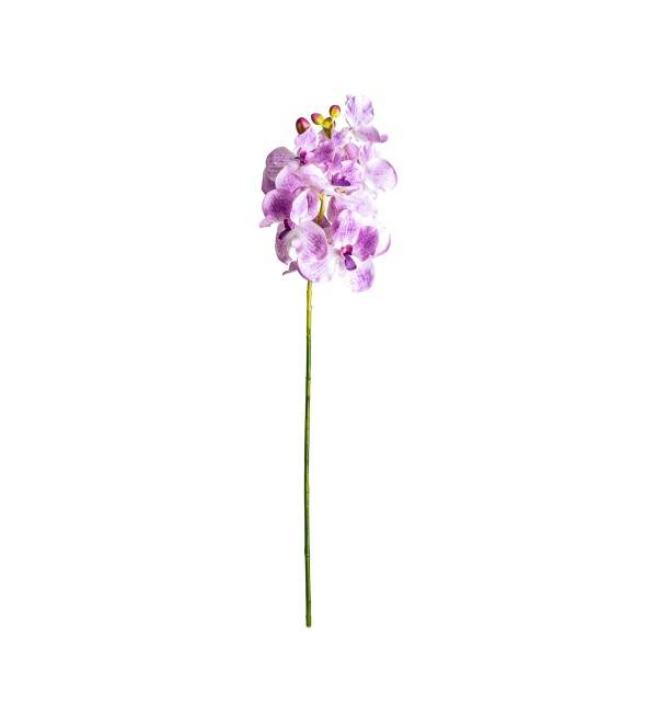 Цветок фиолетового цвета ORQUÍDEA