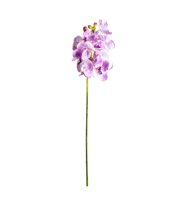 Цветок фиолетового цвета ORQUÍDEA