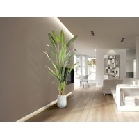 Palma viajero Искусственное растение H240