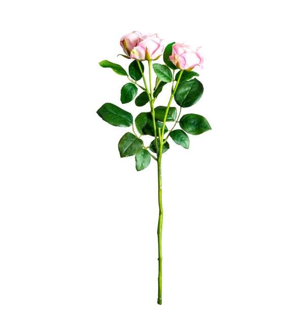 Цветок розы ROSAL в розовом цвете