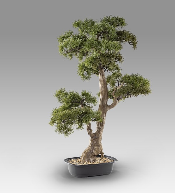 Chokkan - bonsai 83cm Искусственное растение из 2 предметов