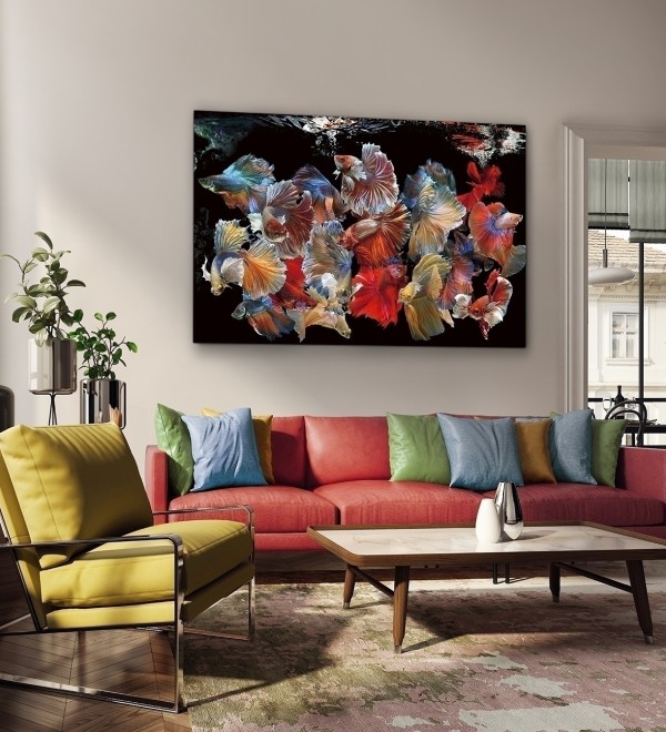 Фотография на стекле Peces Siam 150x100
