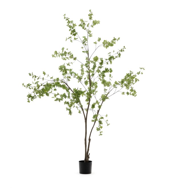Enkianthus Искусственное дерево с черным горшком 214 см