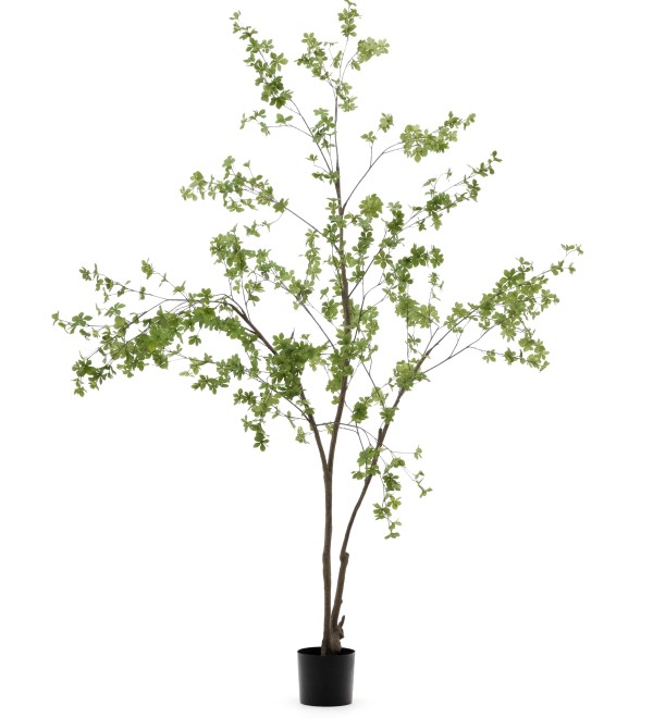 Enkianthus Искусственное дерево с черным горшком 214 см