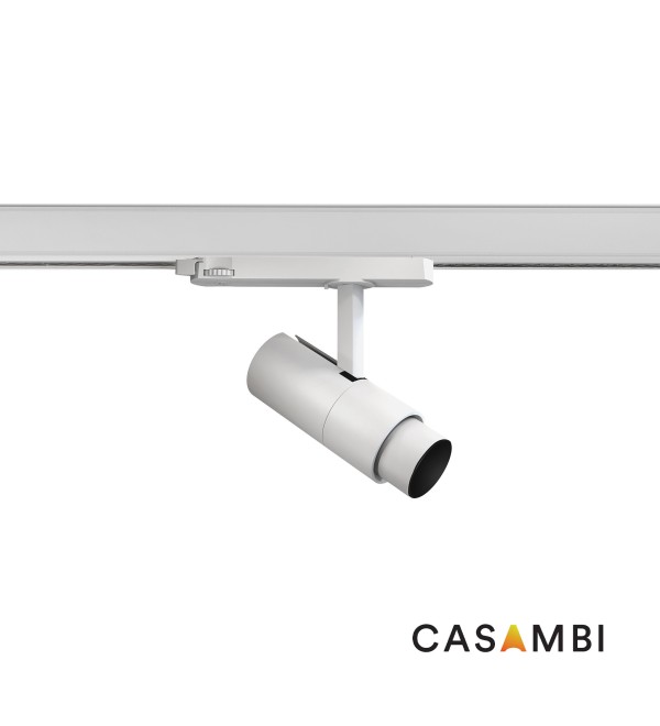LINSE ZOOM Трековый светильник 20W белый 20є-50є 4000K THRIVE CASAM