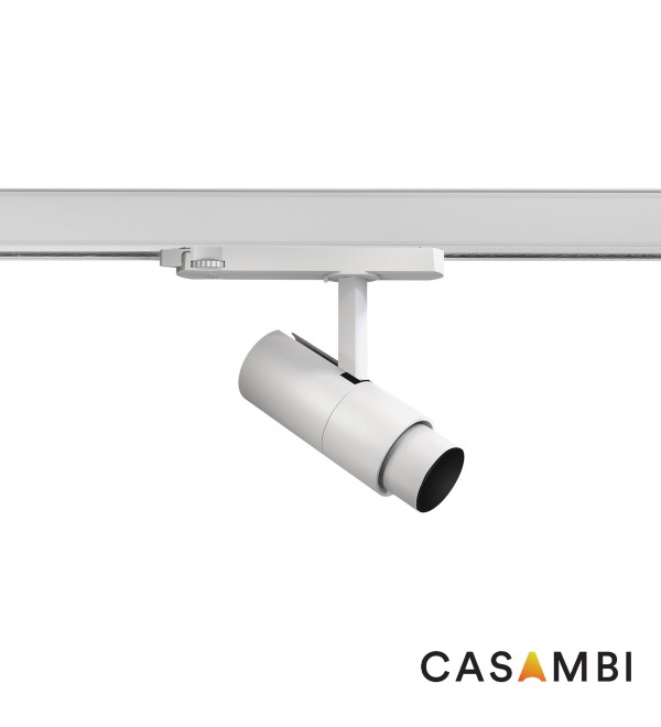 LINSE ZOOM Трековый светильник 20W белый 20є-50є 4000K THRIVE CASAM
