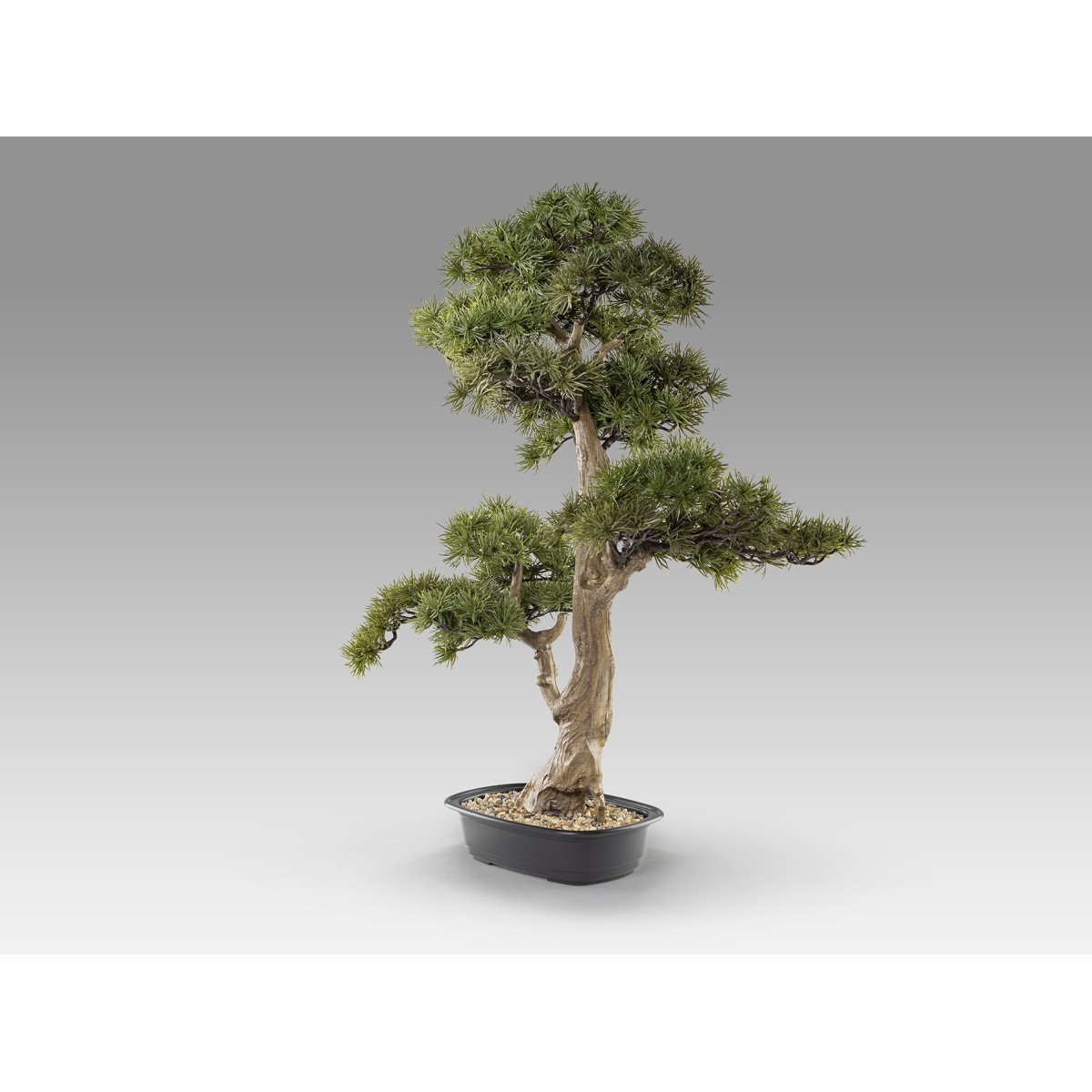 Chokkan - bonsai 83cm Искусственное растение из 2 предметов
