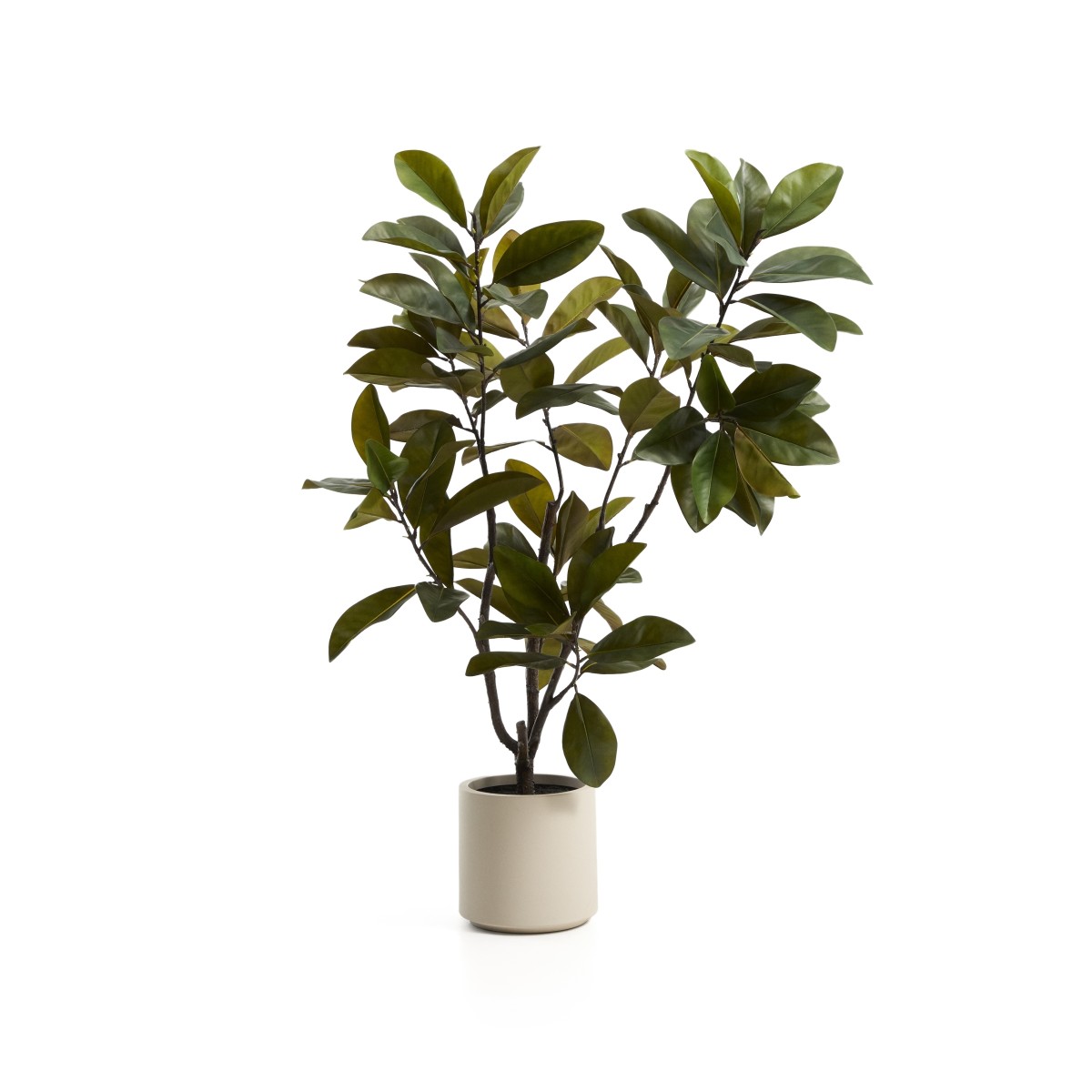 Искусственное растение Magnolia в белом горшке, 160 см