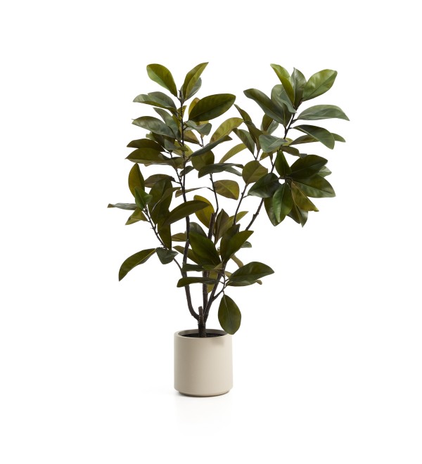 Искусственное растение Magnolia в белом горшке, 160 см
