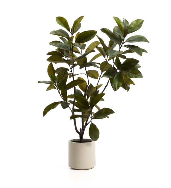 Искусственное растение Magnolia в белом горшке, 160 см