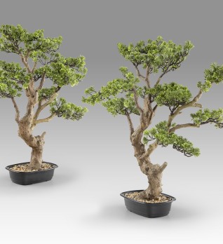 Sokan - bonsai 81cm Искусственное растение из 2 предметов