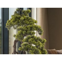 Kengai bonsai 74см Искусственное растение из 2 предметов