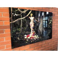 Фотография Eden