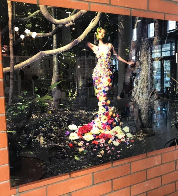 Фотография Eden