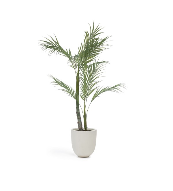 Пальма искусственная Palmera с черным горшком 70 см