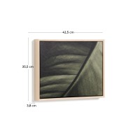 Фотография листа Foliae размер 32,5 x 42,5 см
