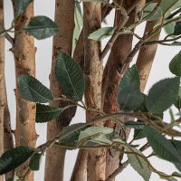 Искусственное растение FICUS 37730
