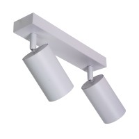BR08083 Потолочный светильник-спот ARAS