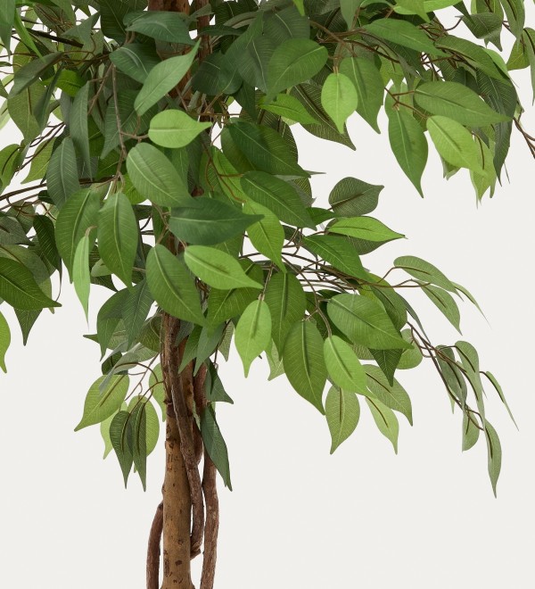 Ficus Искусственное дерево фикус в черном горшке 180 см