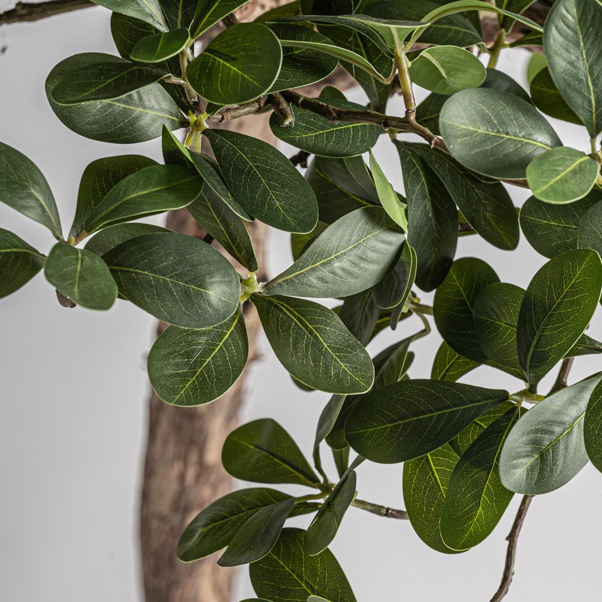 Искусственное растение FICUS 38081