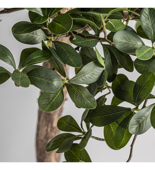 Искусственное растение FICUS 38081